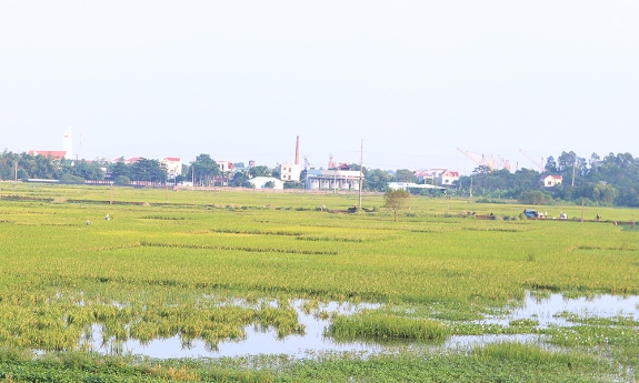 Bắc Ninh quy định mức hỗ trợ sản xuất nông nghiệp bị thiệt hại do thiên tai, dịch hại